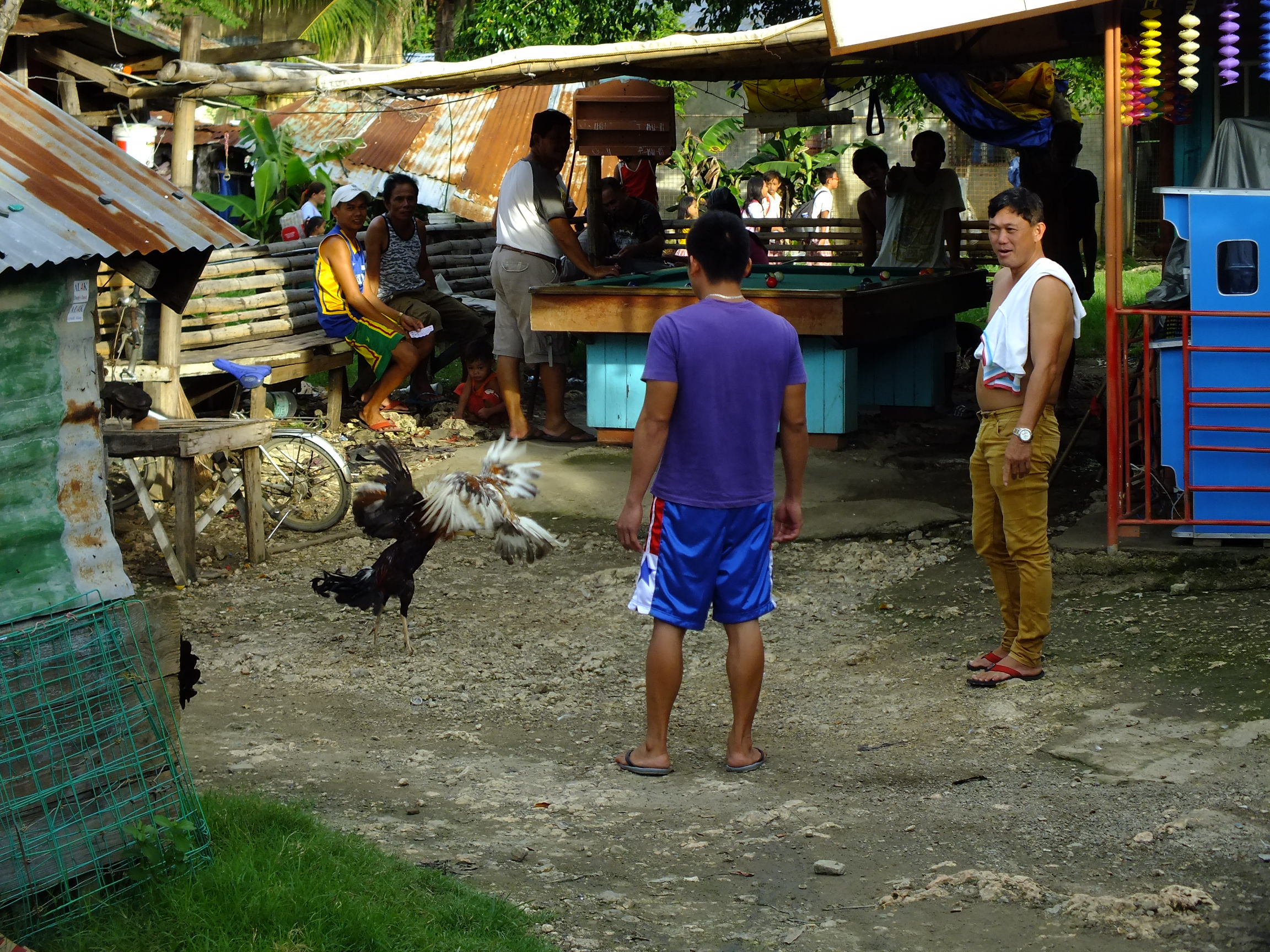  Buy Whores in Lapu-Lapu City,Philippines